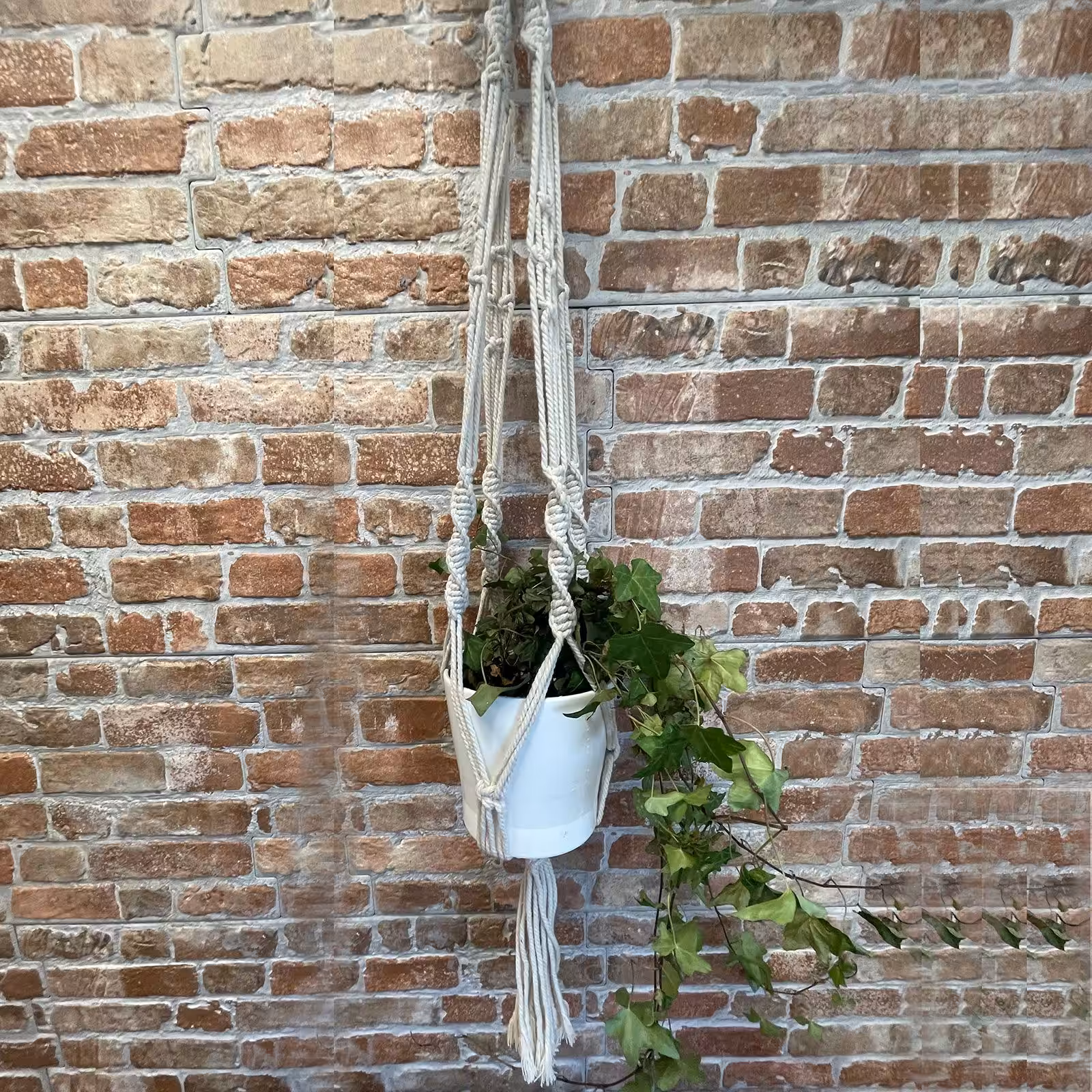 Macrame Pot Holder – Large Pot Holder – Extra Long | www.artisan-gifts.co.uk 3 Macrame Pot Holder – Large Pot Holder – Extra Long | www.artisan-gifts.co.uk 2