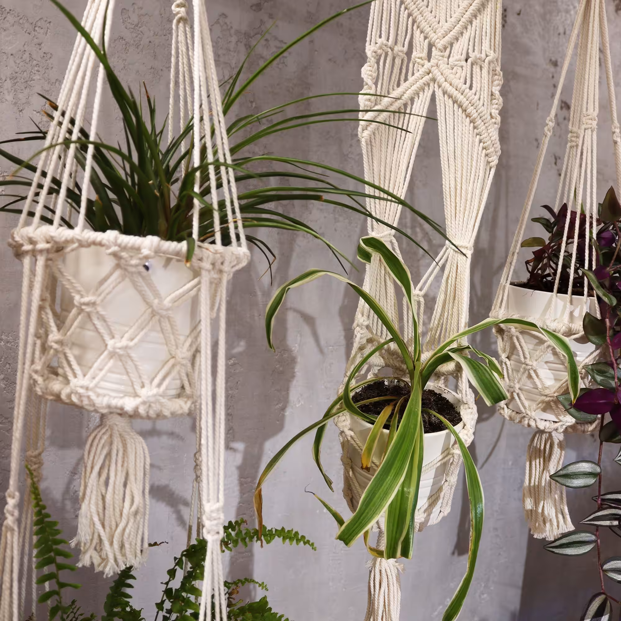 Macrame Pot Holder – Single Small Pot | www.artisan-gifts.co.uk 10 Macrame Pot Holder – Single Small Pot | www.artisan-gifts.co.uk 9