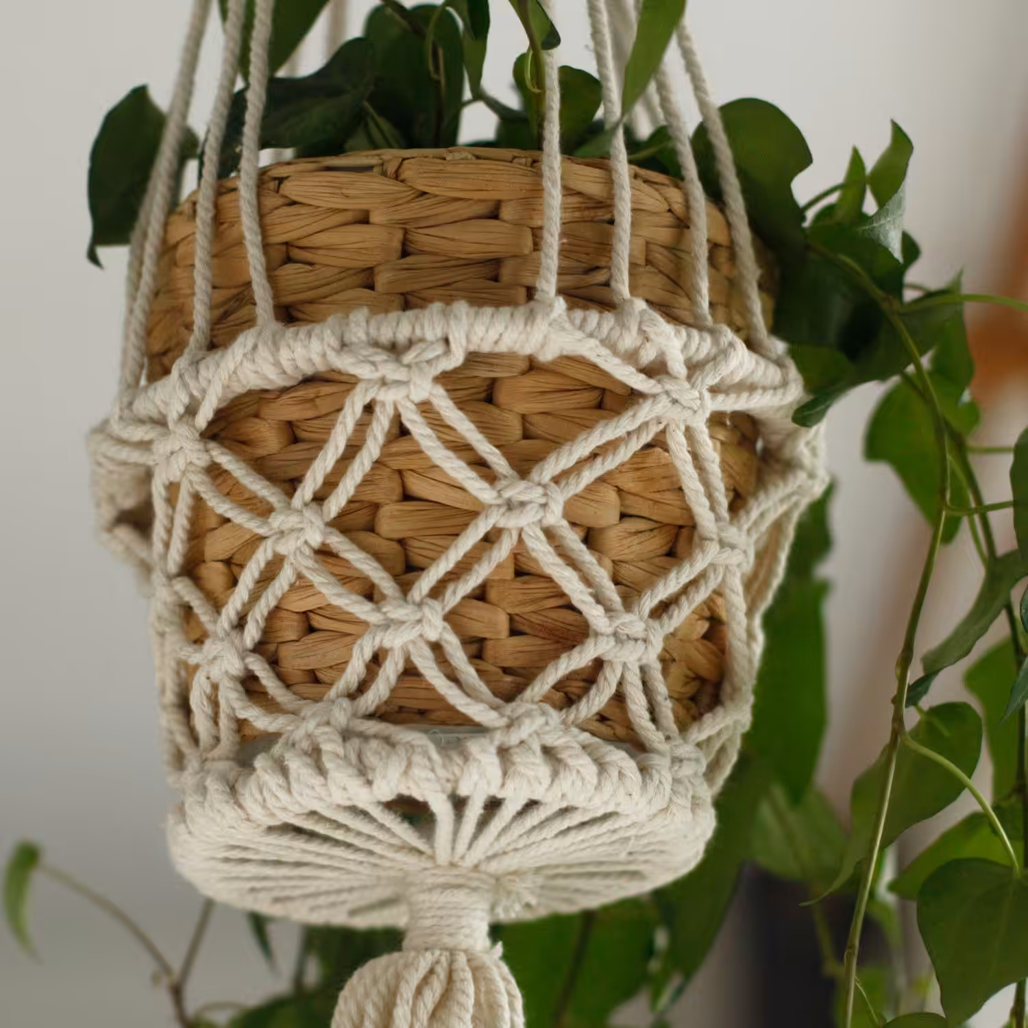 Macrame Pot Holder – Single Small Pot | www.artisan-gifts.co.uk 5 Macrame Pot Holder – Single Small Pot | www.artisan-gifts.co.uk 4