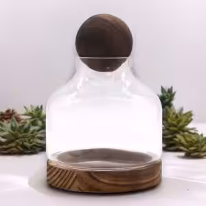 Medium Ball Top Terrarium on Dark Tung Wood | www.artisan-gifts.co.uk 1