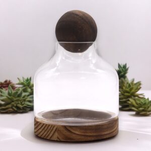 Medium Ball Top Terrarium on Dark Tung Wood | www.artisan-gifts.co.uk 1