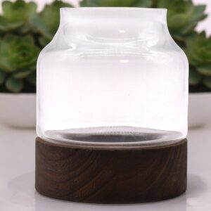Medium Shaped Terrarium on Dark Tung Wood | www.artisan-gifts.co.uk 1