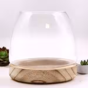 Medium Terrarium on Natural Tung Wood | www.artisan-gifts.co.uk 1