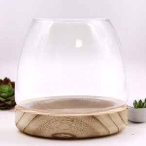 Medium Terrarium on Natural Tung Wood | www.artisan-gifts.co.uk 1
