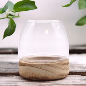 Mini Terrarium on Natural Tung Wood | www.artisan-gifts.co.uk 1