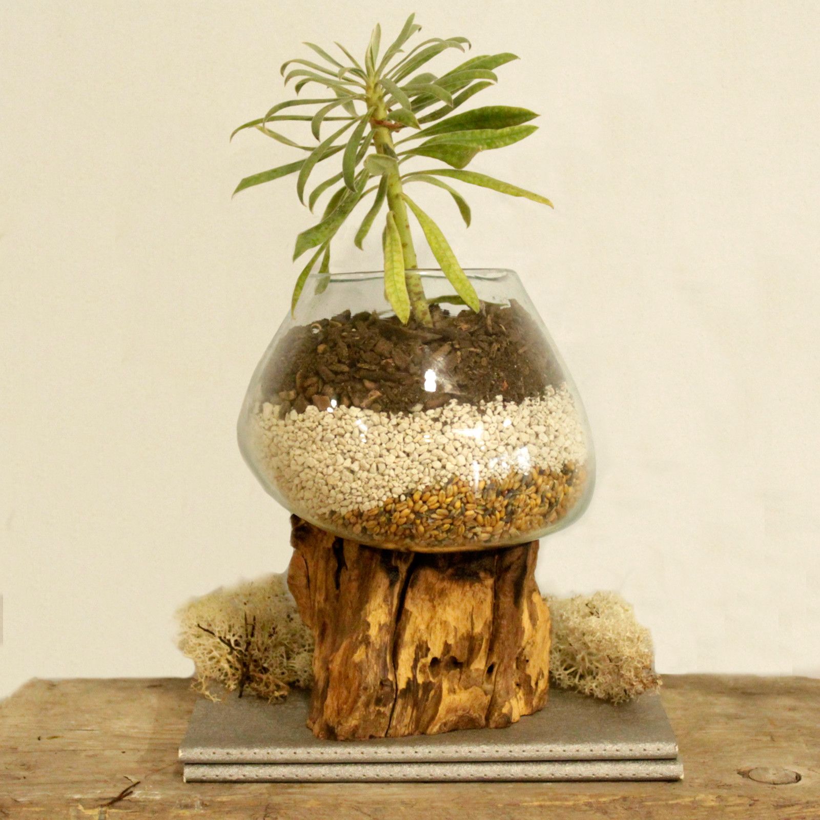 Molten Glass on Wood – Large Bowl | www.artisan-gifts.co.uk 7 Molten Glass on Wood – Large Bowl | www.artisan-gifts.co.uk 6