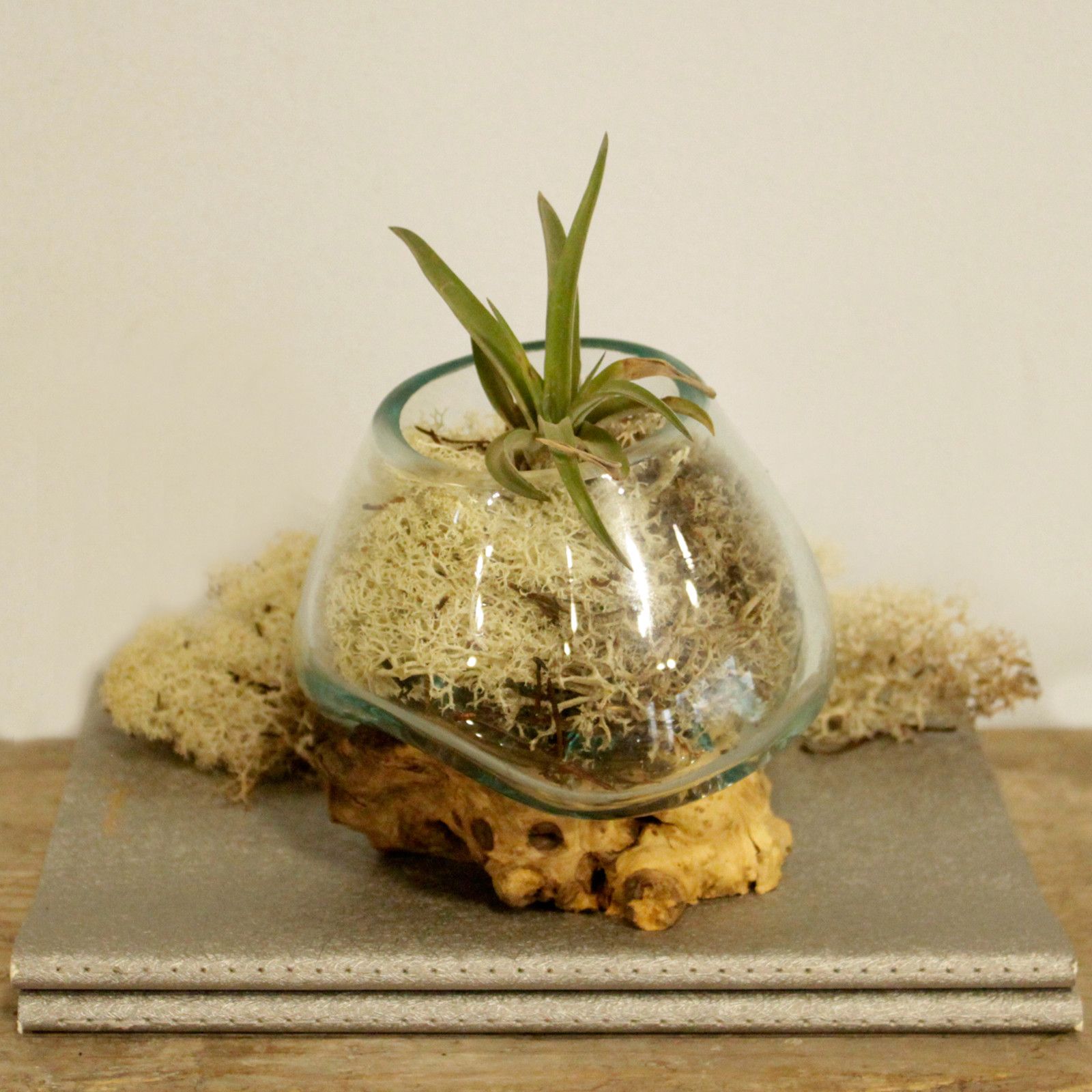 Molten Glass on Wood – Small Bowl | www.artisan-gifts.co.uk 8 Molten Glass on Wood – Small Bowl | www.artisan-gifts.co.uk 7