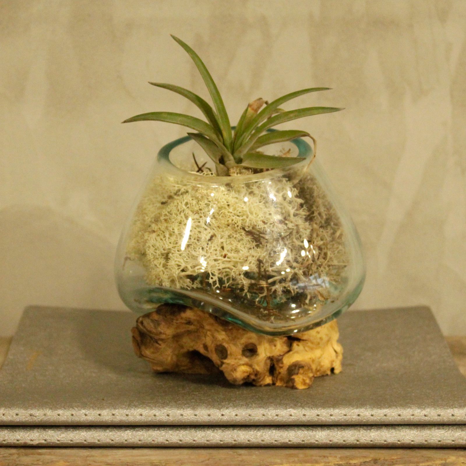 Molten Glass on Wood – Small Bowl | www.artisan-gifts.co.uk 7 Molten Glass on Wood – Small Bowl | www.artisan-gifts.co.uk 6