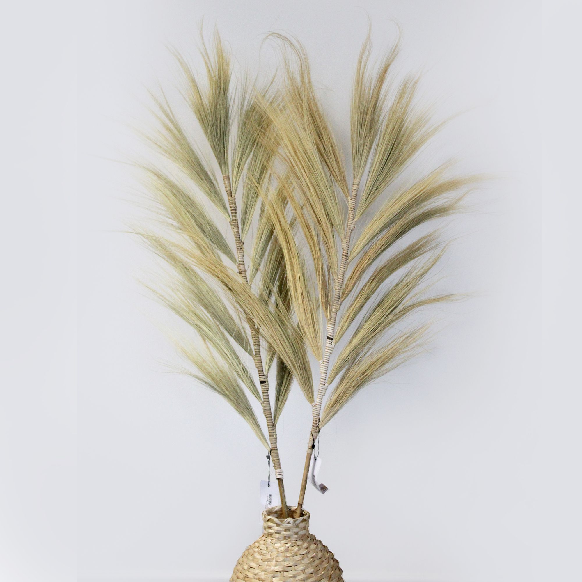 Rayung Grass Blond – 1.6m | www.artisan-gifts.co.uk 2 Rayung Grass Blond – 1.6m | www.artisan-gifts.co.uk 1
