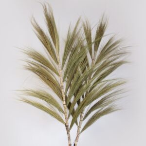Rayung Grass Natural – 2m | www.artisan-gifts.co.uk 1