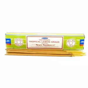 Satya Incense Sticks 15g – Tropical Lemongrass | www.artisan-gifts.co.uk 1