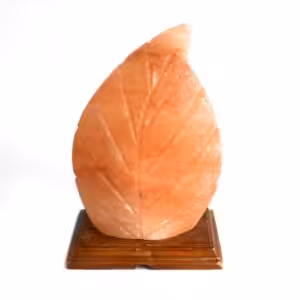 Shape Salt Lamp – Fern | www.artisan-gifts.co.uk 1