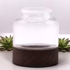 Small Shaped Terrarium on Dark Tung Wood | www.artisan-gifts.co.uk 1