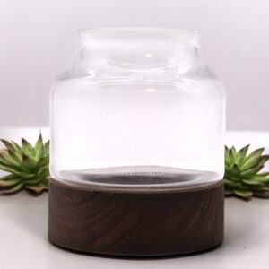 Small Shaped Terrarium on Dark Tung Wood | www.artisan-gifts.co.uk 1