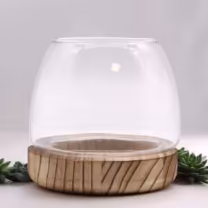 Small Terrarium on Natural Tung Wood | www.artisan-gifts.co.uk 1