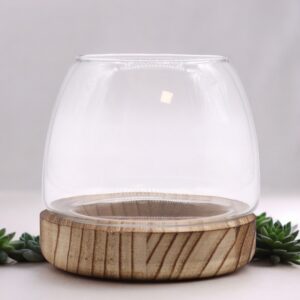 Small Terrarium on Natural Tung Wood | www.artisan-gifts.co.uk 1