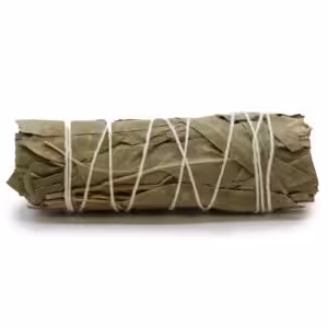 Smudge Stcik – White Sage & Eucalyptus 10 cm | www.artisan-gifts.co.uk 1