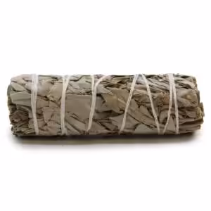 Smudge Stick – White Sage 10cm | www.artisan-gifts.co.uk 1
