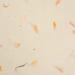 A4 - Lokta Craft Paper (20 sheet pack) - Marigold