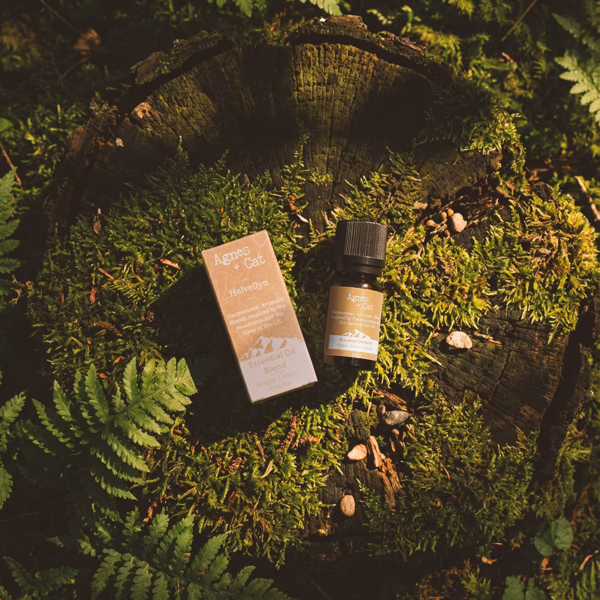 Agnes + Cat Essential Oil Blend – Helvellyn – Ginger, Lemon & Orange | www.artisan-gifts.co.uk 3 Agnes + Cat Essential Oil Blend - Helvellyn - Ginger, Lemon & Orange - Image 2