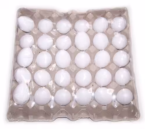 Bath Eggs in a Tray – Coconut | www.artisan-gifts.co.uk 3 Bath Eggs in a Tray – Coconut | www.artisan-gifts.co.uk 2