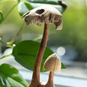 Handmade Parasite Wood Art Carving - Set of Two Mushoorms
