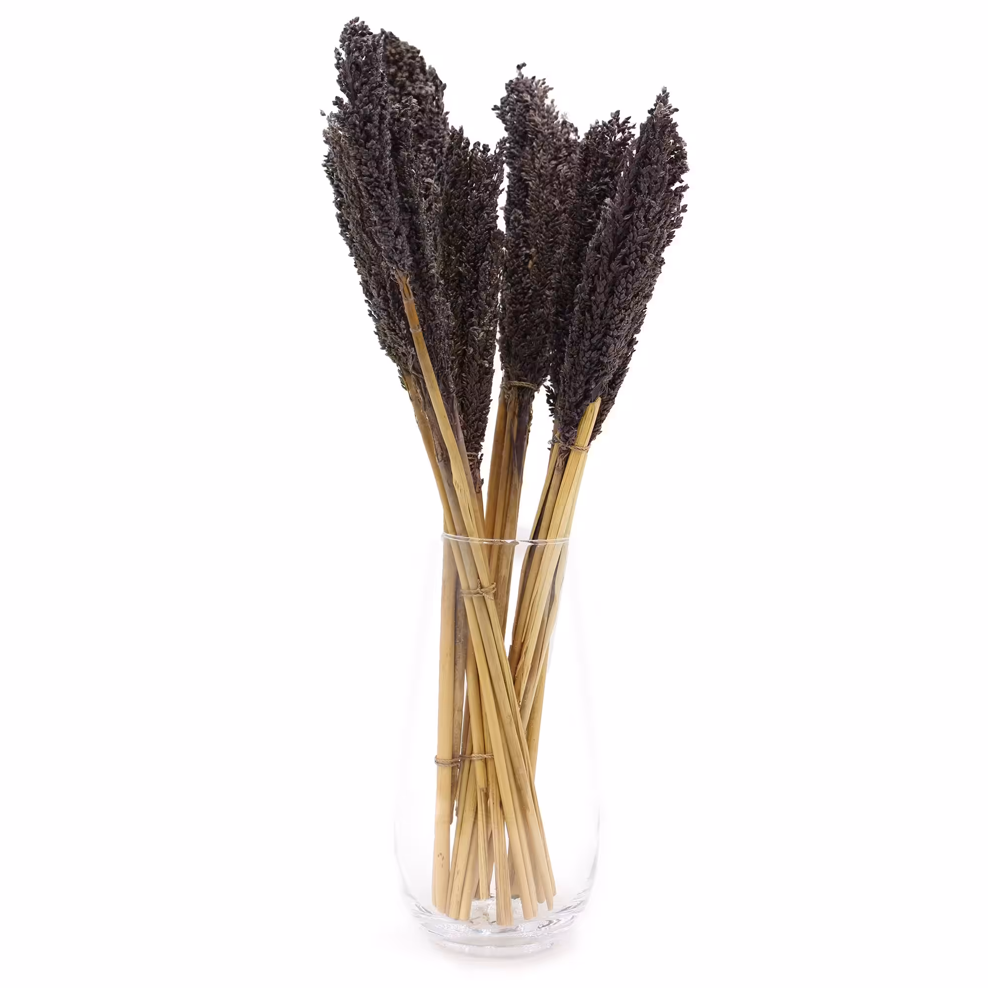 Cantal Grass Bunch – Black | www.artisan-gifts.co.uk 4 Cantal Grass Bunch - Black - Image 3