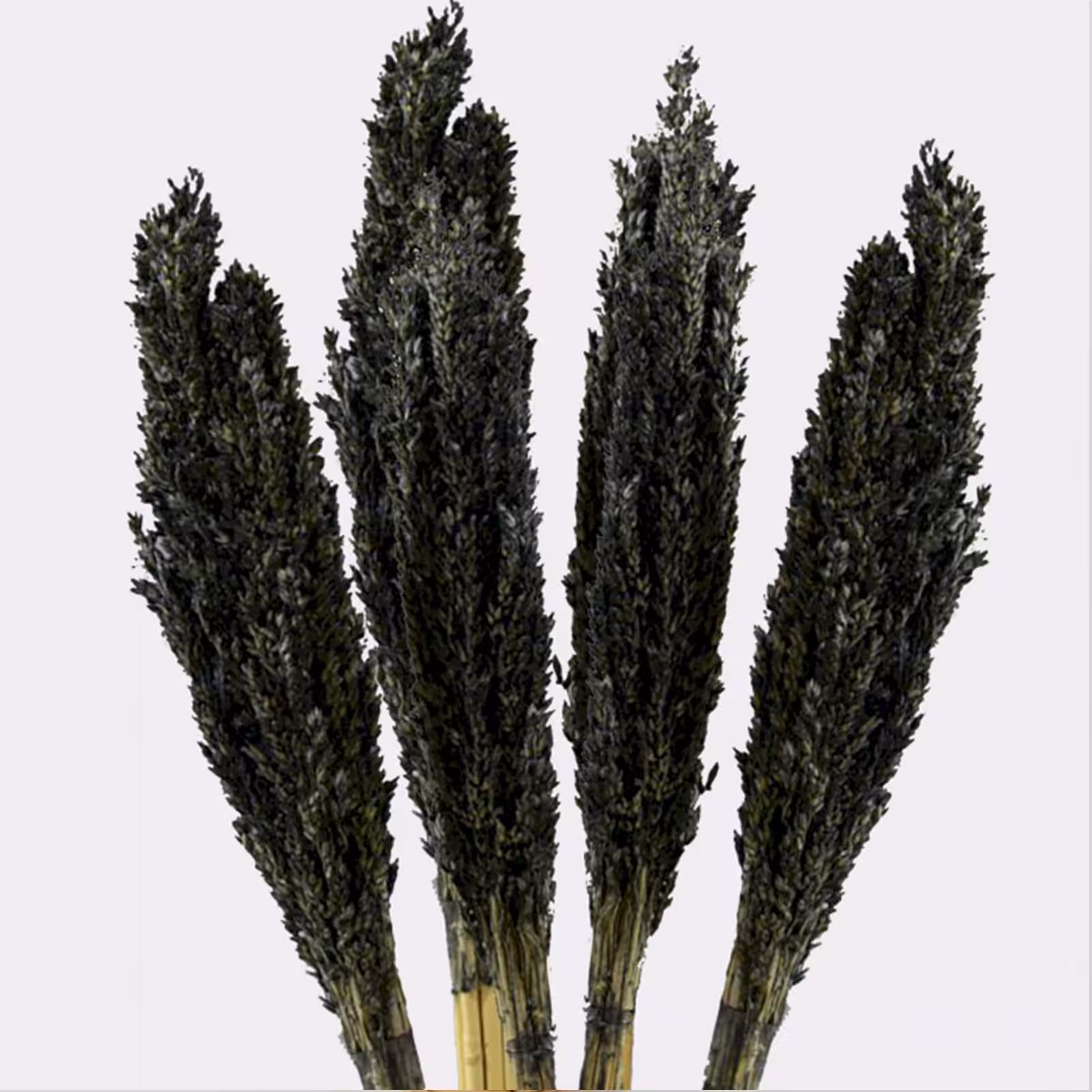 Cantal Grass Bunch – Black | www.artisan-gifts.co.uk 7 Cantal Grass Bunch - Black - Image 6