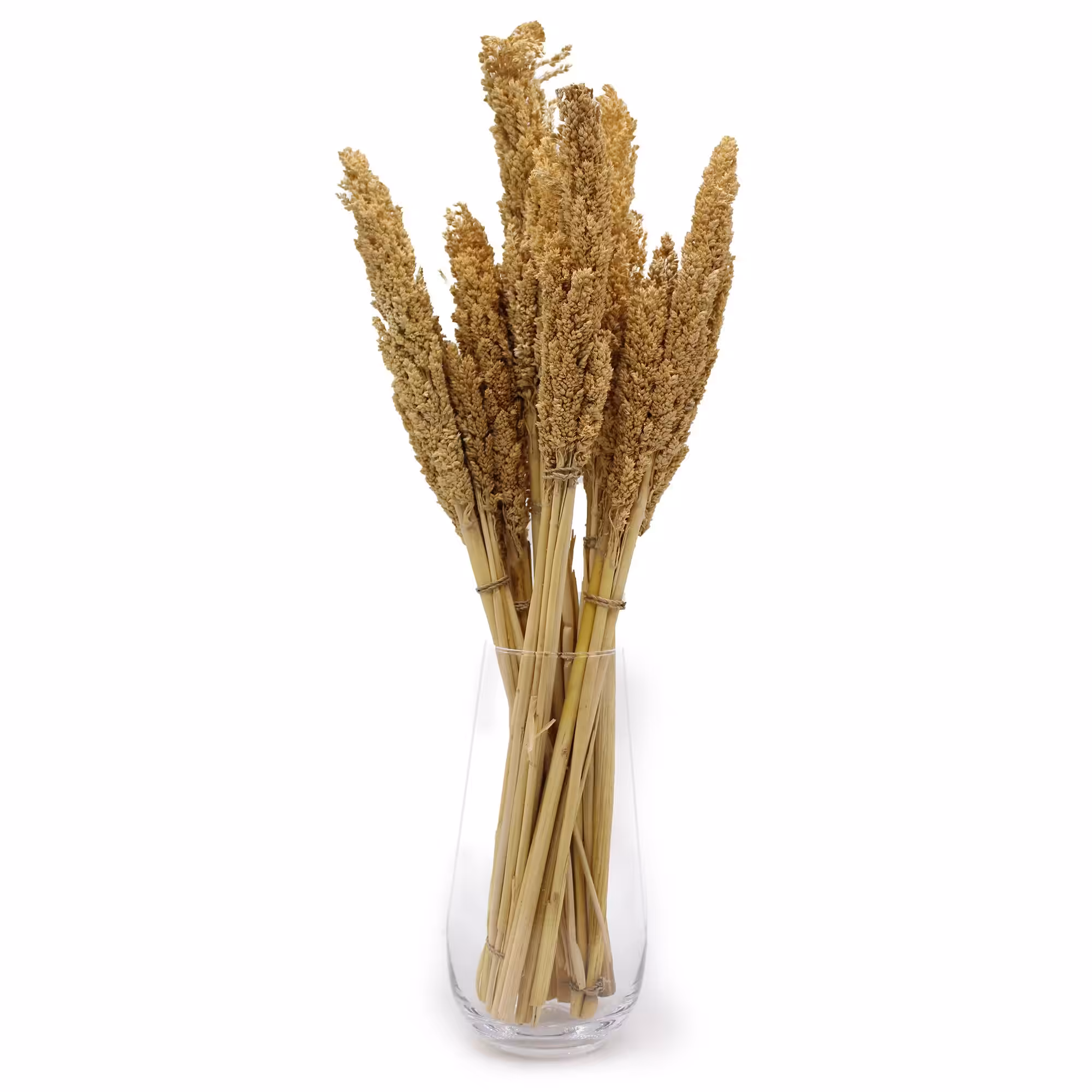 Cantal Grass Bunch – Natural | www.artisan-gifts.co.uk 9 Cantal Grass Bunch - Natural - Image 8
