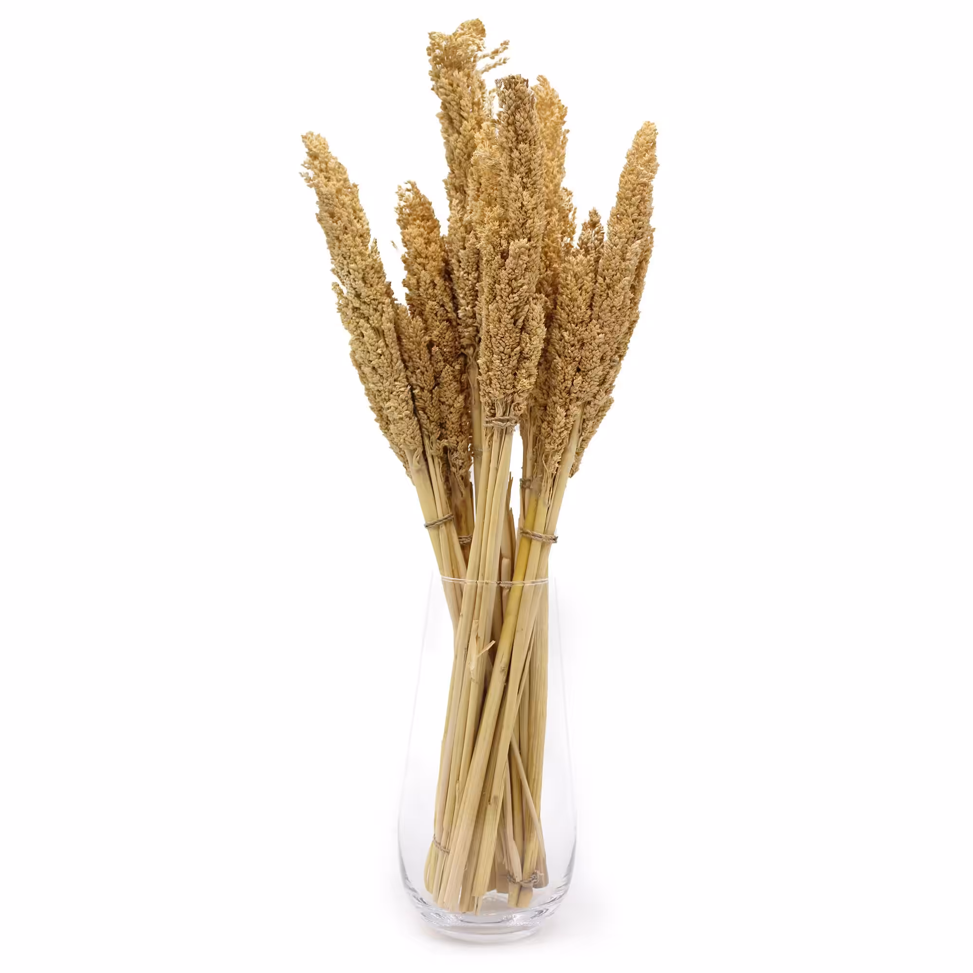 Cantal Grass Bunch – Natural | www.artisan-gifts.co.uk 11 Cantal Grass Bunch - Natural - Image 10