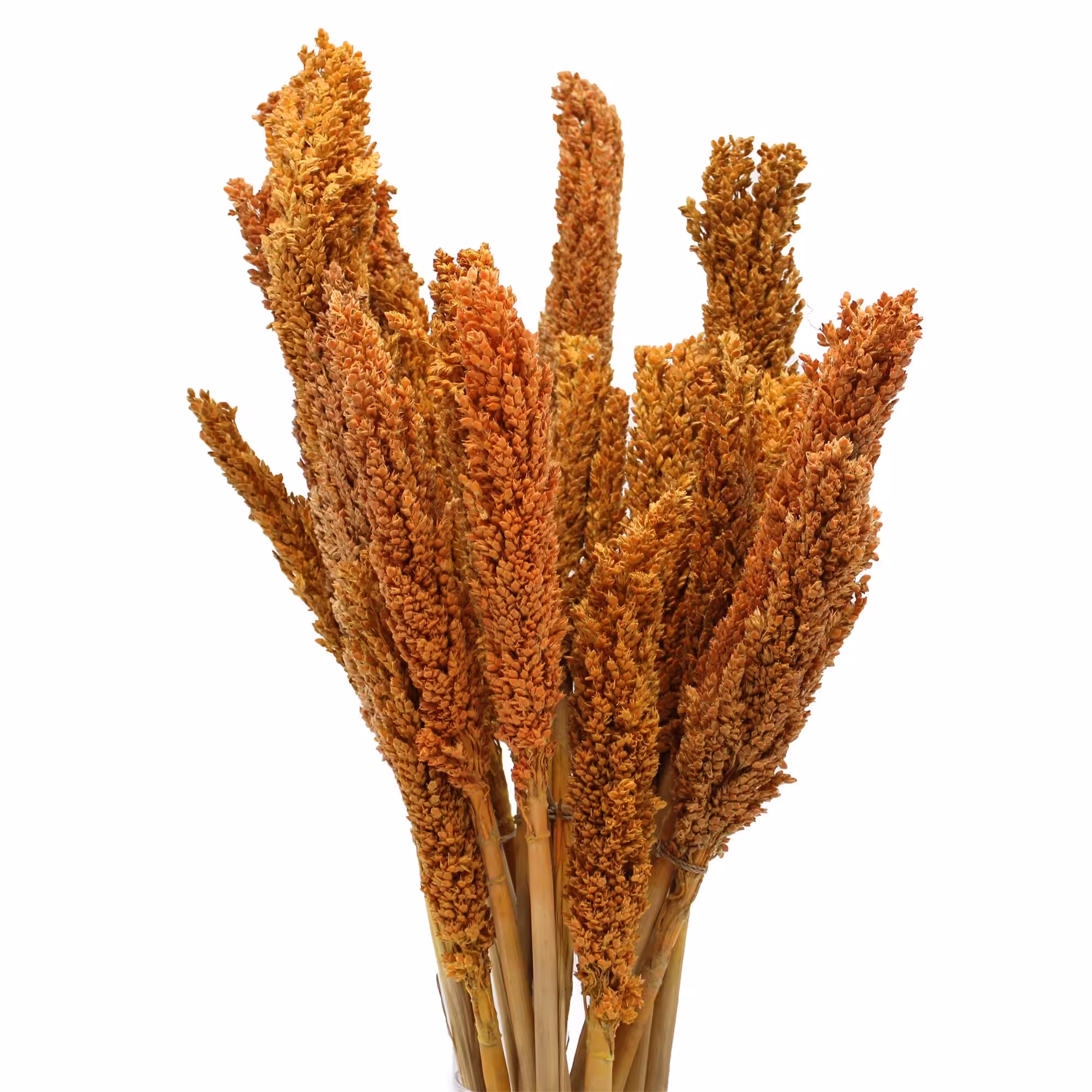 Cantal Grass Bunch – Orange | www.artisan-gifts.co.uk 2 Cantal Grass Bunch - Orange