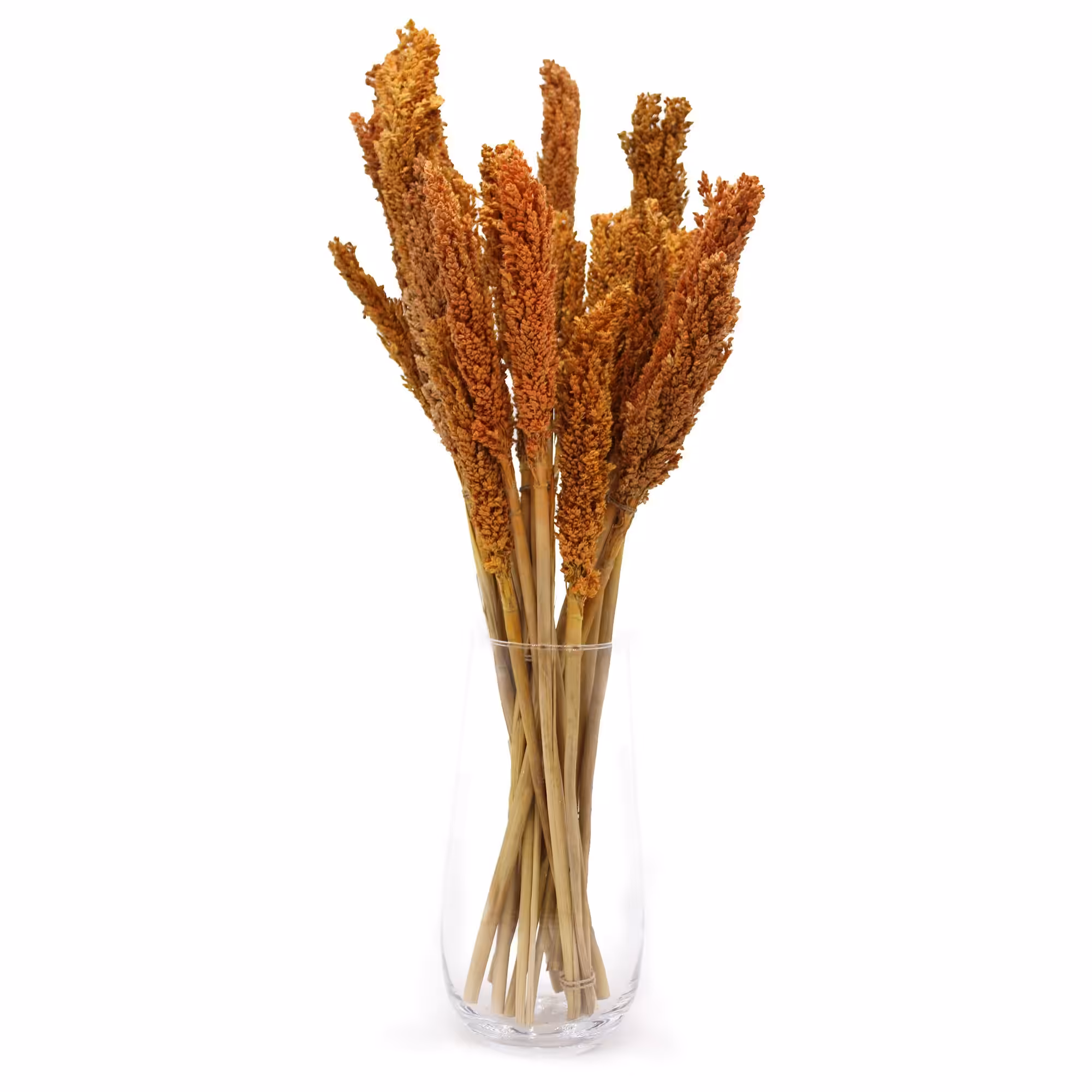Cantal Grass Bunch – Orange | www.artisan-gifts.co.uk 5 Cantal Grass Bunch - Orange - Image 4