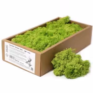 Decoration Reindeer Moss - Light Grass  - (approx 500gm)
