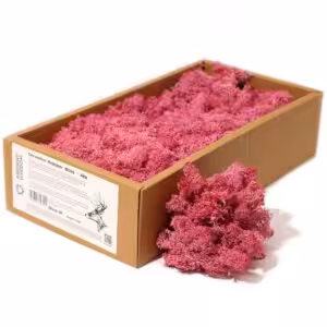 Decoration Reindeer Moss - Pink - (approx 500gm)
