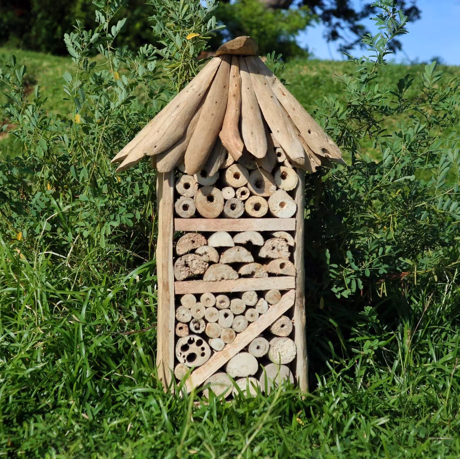 Driftwood Bee & Insect Highrise Box | www.artisan-gifts.co.uk 4 Driftwood Bee & Insect Highrise Box - Image 3