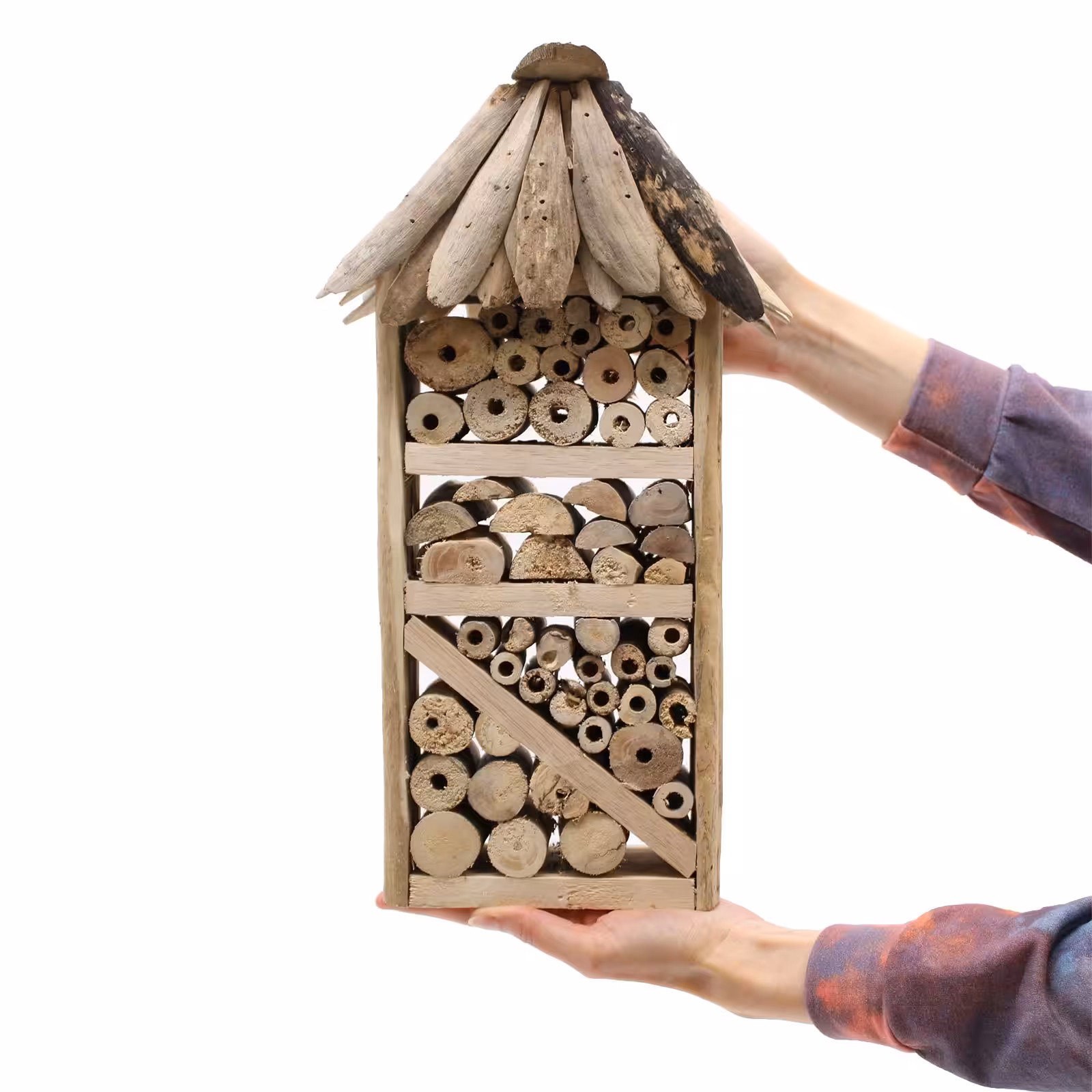 Driftwood Bee & Insect Highrise Box | www.artisan-gifts.co.uk 3 Driftwood Bee & Insect Highrise Box - Image 2