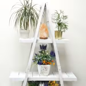 Folding "A" Frame Display - Whitewash