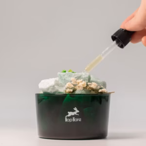 Hop Hare Diffusing Crystals & Floral Set - The Magician