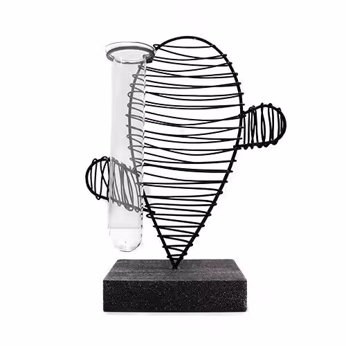 Hydroponic Home Décor – Cactus & Lab Pot | www.artisan-gifts.co.uk 3 Hydroponic Home Décor - Cactus & Lab Pot - Image 2