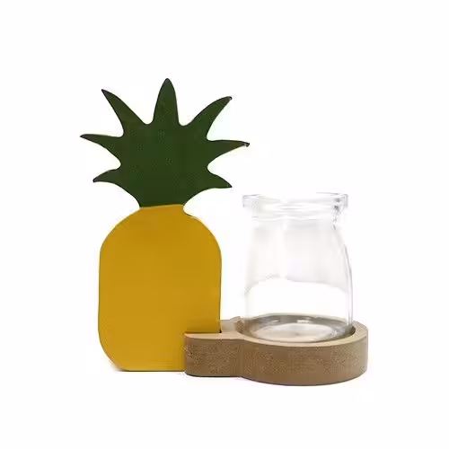 Hydroponic Home Décor – Pineapple Pot | www.artisan-gifts.co.uk 2 Hydroponic Home Décor - Pineapple Pot