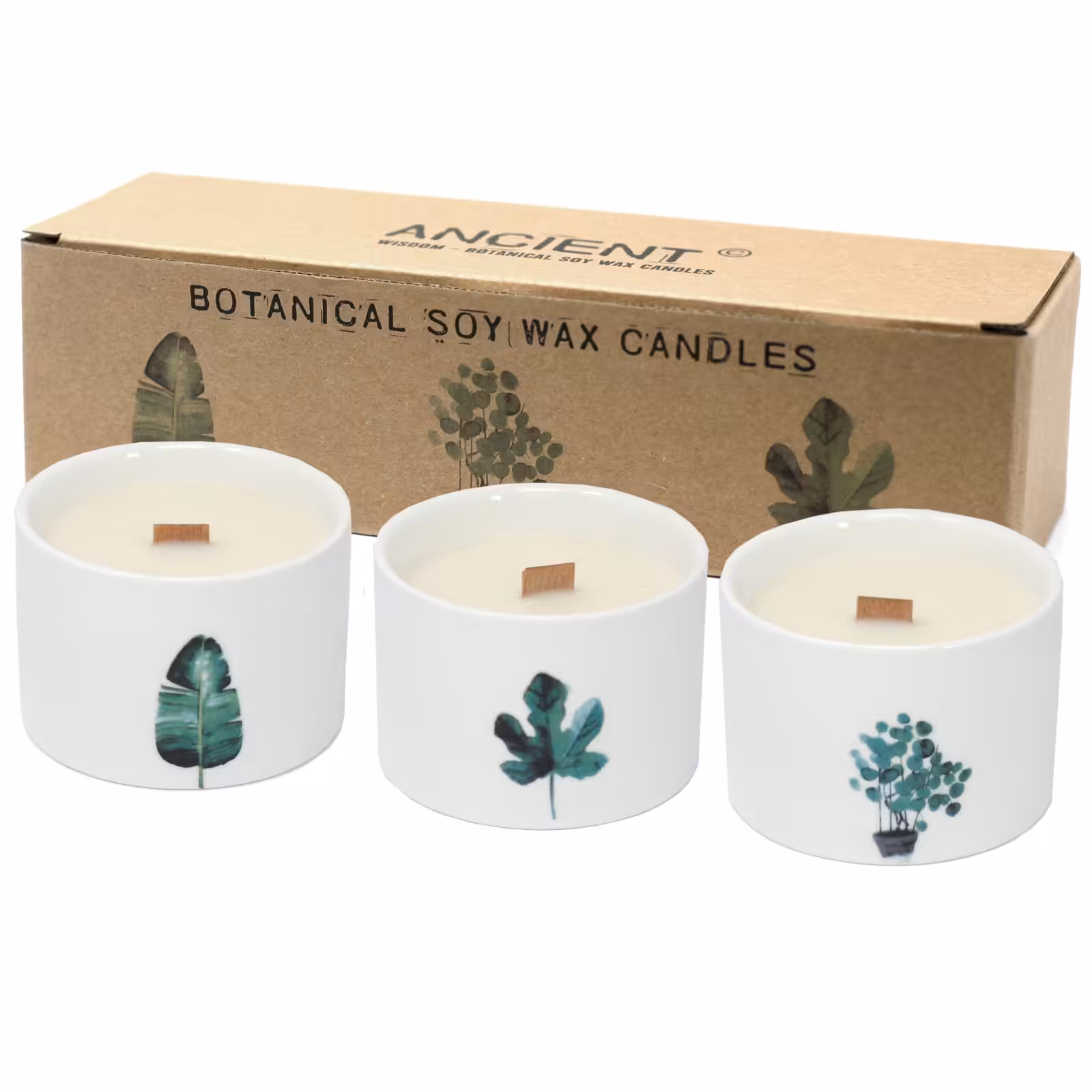 Med Botanical Candles – Mullberry Harvest | www.artisan-gifts.co.uk 2 Med Botanical Candles – Mullberry Harvest | www.artisan-gifts.co.uk 1
