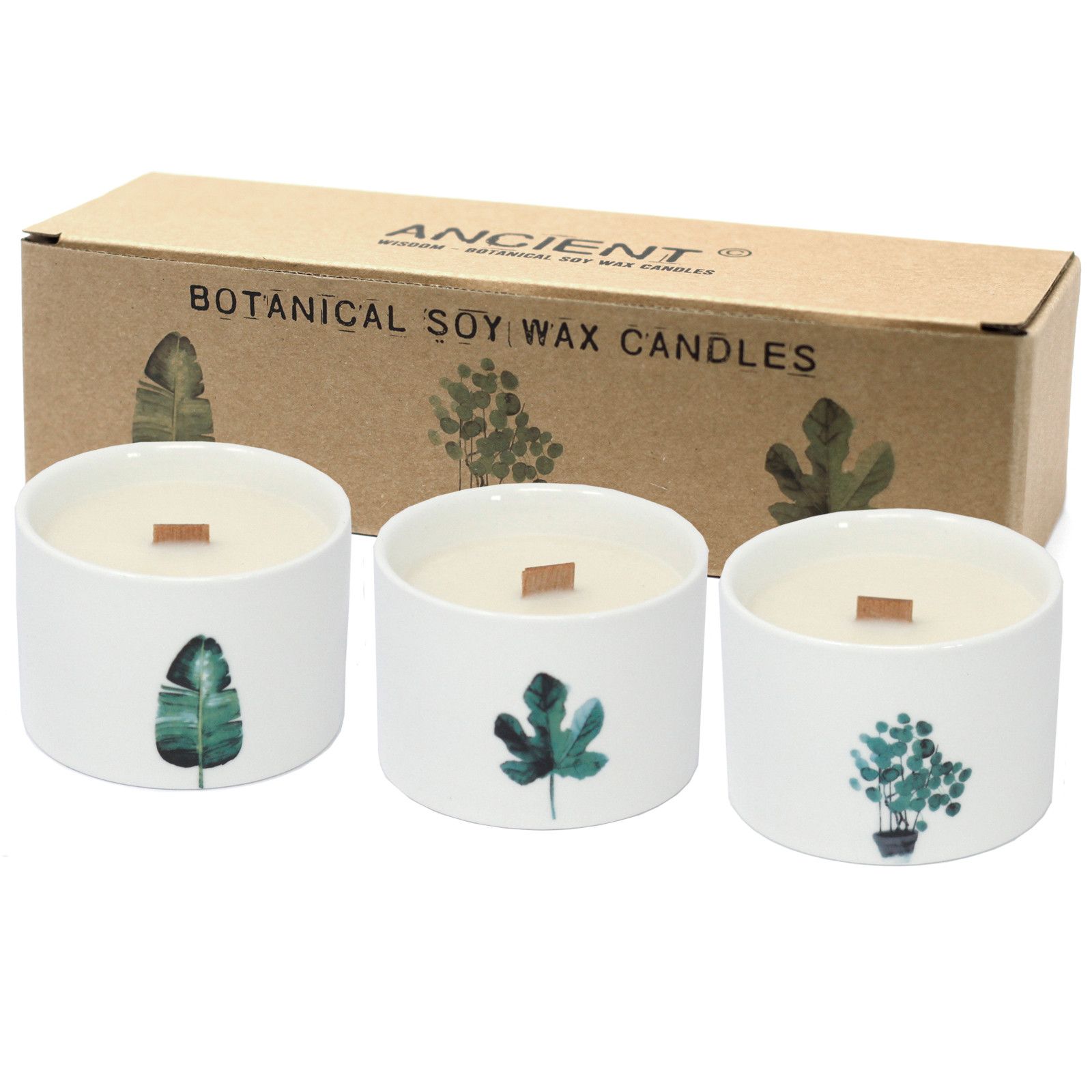 Med Botanical Candles – Mullberry Harvest | www.artisan-gifts.co.uk 2 Med Botanical Candles – Mullberry Harvest | www.artisan-gifts.co.uk 1