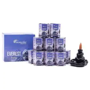 Pack of 10 Masala Backflow Incense – Everest | www.artisan-gifts.co.uk 1