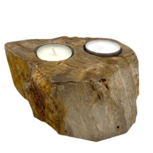 Petrified Wood Candle Holder – Double | www.artisan-gifts.co.uk 1