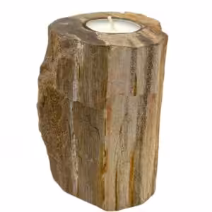 Petrified Wood Candle Holder – Single Tall | www.artisan-gifts.co.uk 1