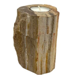 Petrified Wood Candle Holder – Single Tall | www.artisan-gifts.co.uk 1
