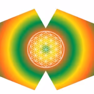 Reusable Fashion Face Mask - Flower of Life (Adult)