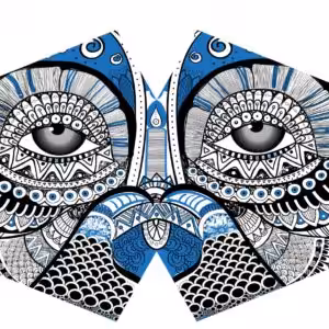 Reusable Fashion Face Mask - Mystical Owl (Adult)