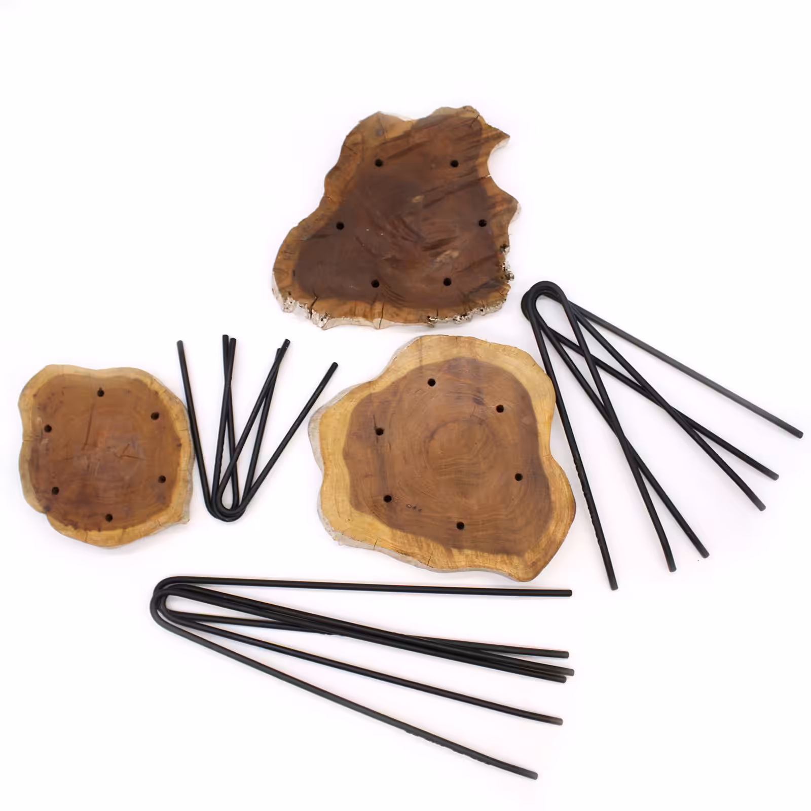 Set of 3 Albasia Wood Plant Stands – Turtles | www.artisan-gifts.co.uk 7 Set of 3 Albasia Wood Plant Stands - Turtles - Image 6