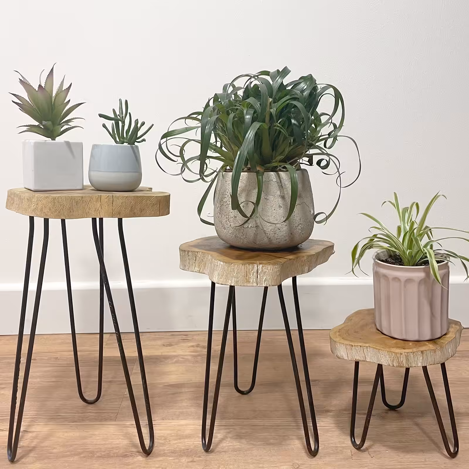 Set of 3 Gamal Wood Plant Stands – Greenwash | www.artisan-gifts.co.uk 10 Set of 3 Gamal Wood Plant Stands - Greenwash - Image 9